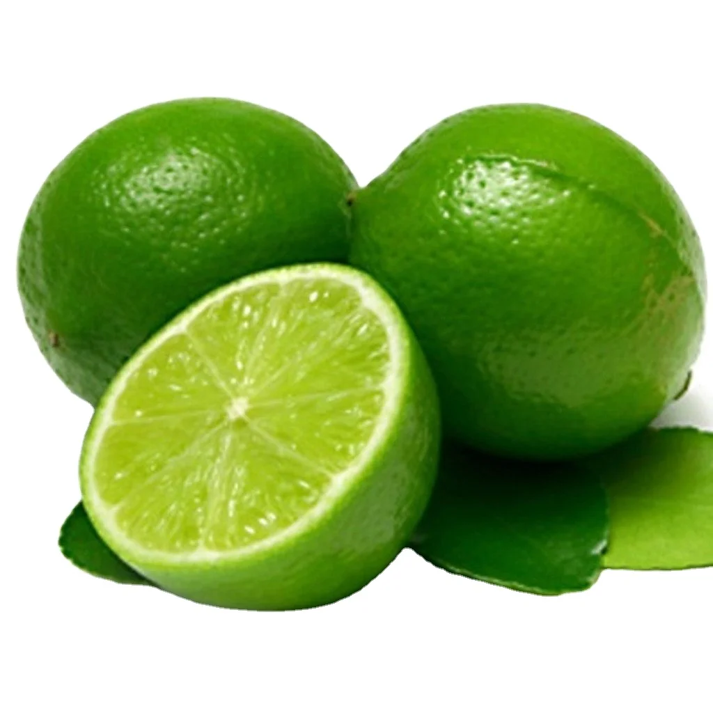 Bulk fresh lemon available fresh seedless lime fruit at affordable price packing 4kgs/box