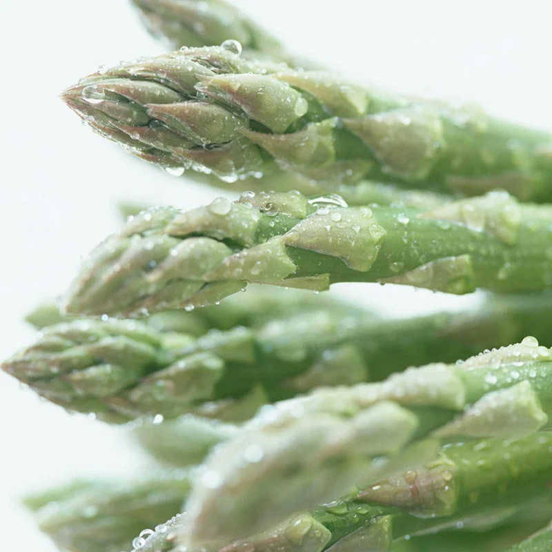 FRESH ASPARAGUS VIETNAM ORIGIN WITH CHEAP PRICE - Steven Ngo // WhatsaPP : +84 33 5517 633