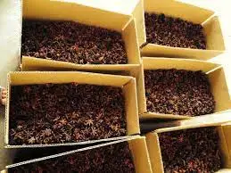 Star Anise 2022 оптовая продажа с завода Заказные специи сушеные осенние звезды Aniseeds сделано во