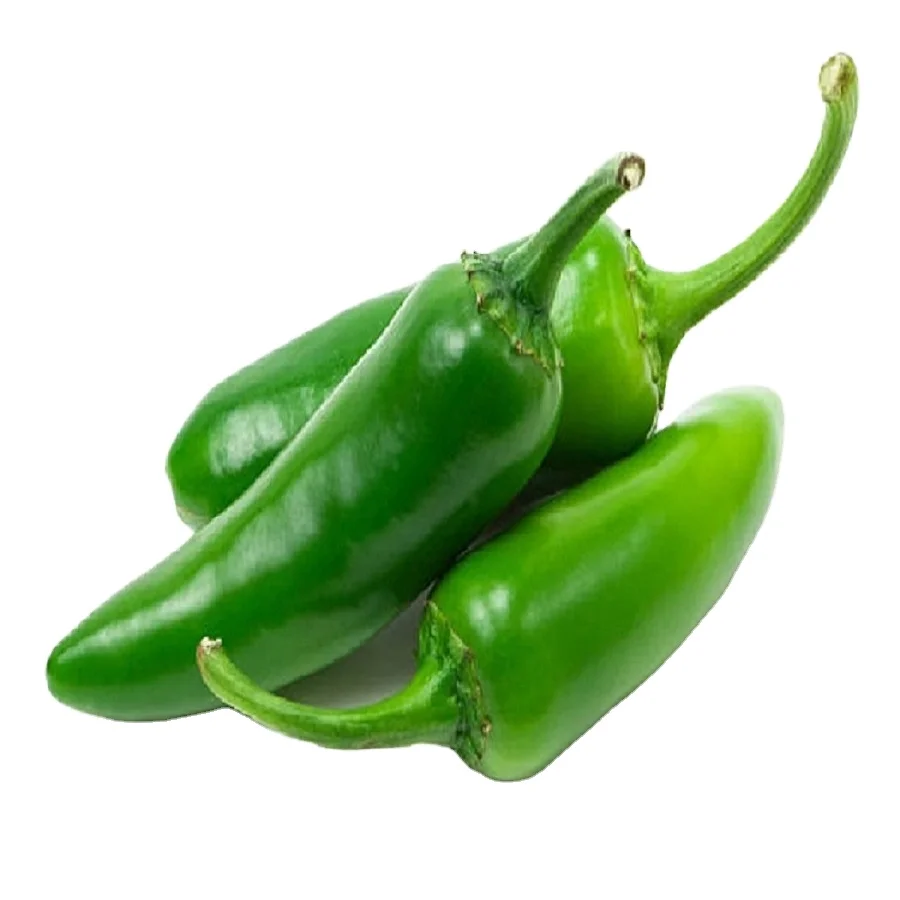 Best Quality Whole Green Jalapeno pepper Grade 4-7 CM in Food Grade Barrels 260 Ltrs  Preserved in A/Acid