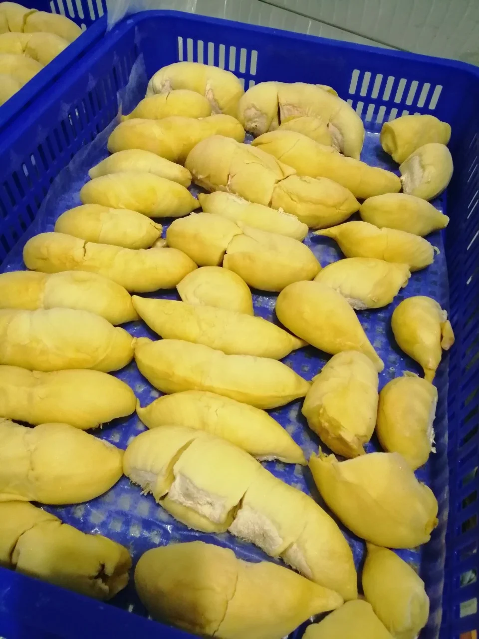 FROZEN  MONTHONG DURIAN top quality / +84963818434 w