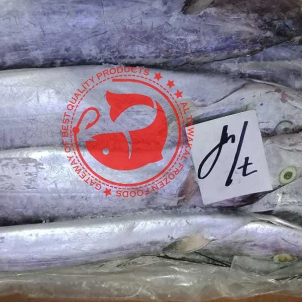 Frozen Ribbon Fish /Best Quality Frozen Seafood Exporter