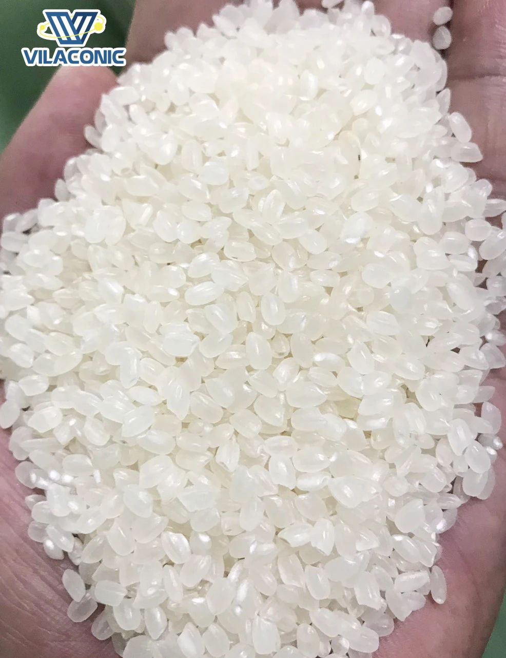 Nishiki Riz суши рис с коротким зерном японская арроза Круглый подъем лучший выбор для японской кухни высокого стандарта-MR JUSTIN NGO