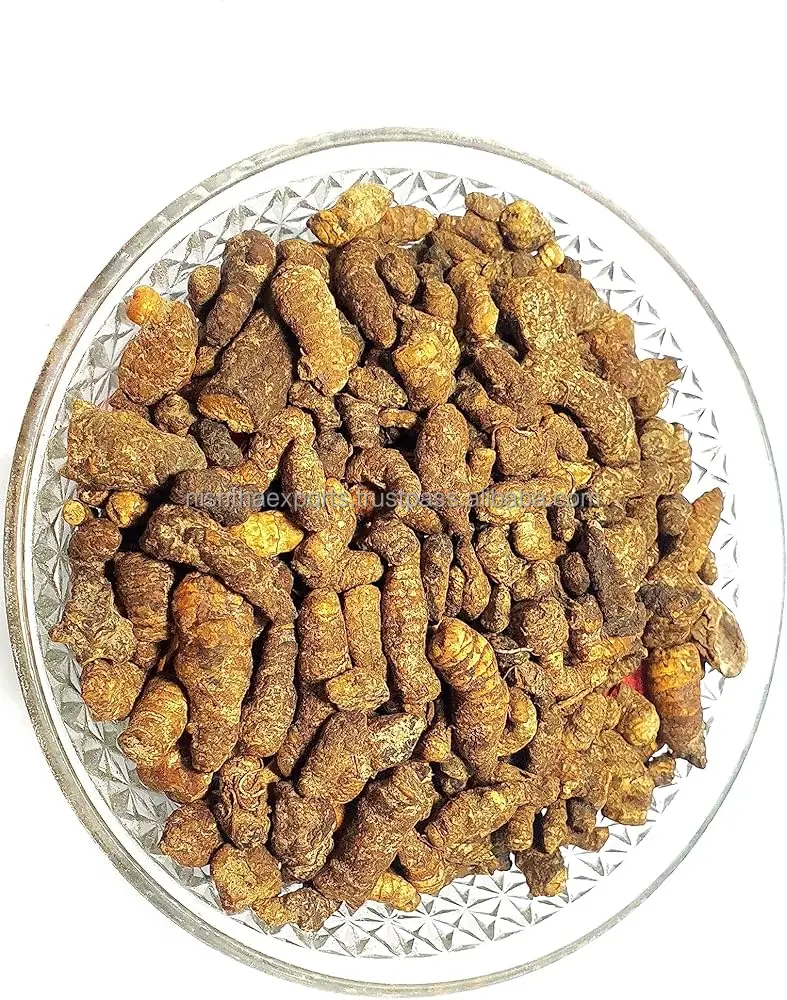 Coptis Teeta Mamira Root Mameera Dried Root Mamirah Jadd Mishamitita Mishamlita Dried Raw Herbs Plant Extract Herbal Product