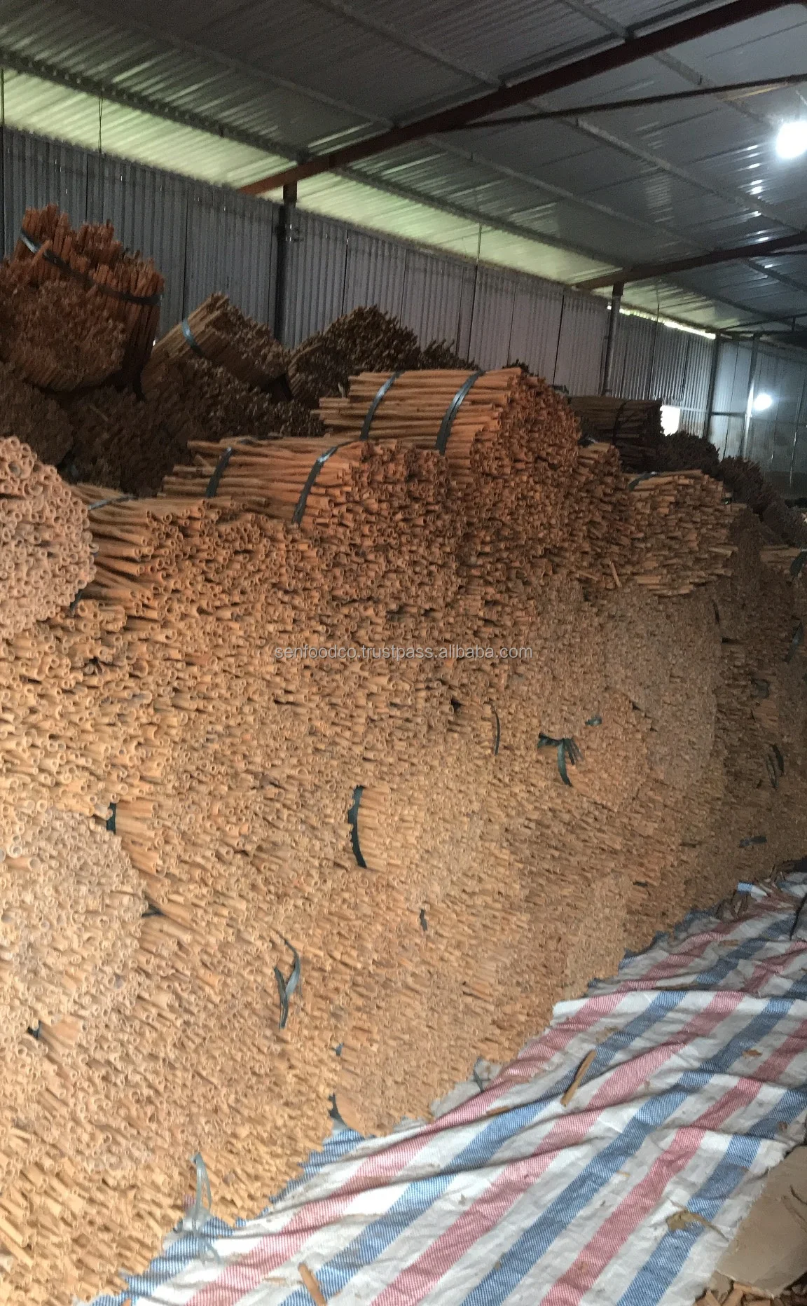 Stick Cassia 3 inches cut from Vietnam New crop 2021 FACTORY PRICES
