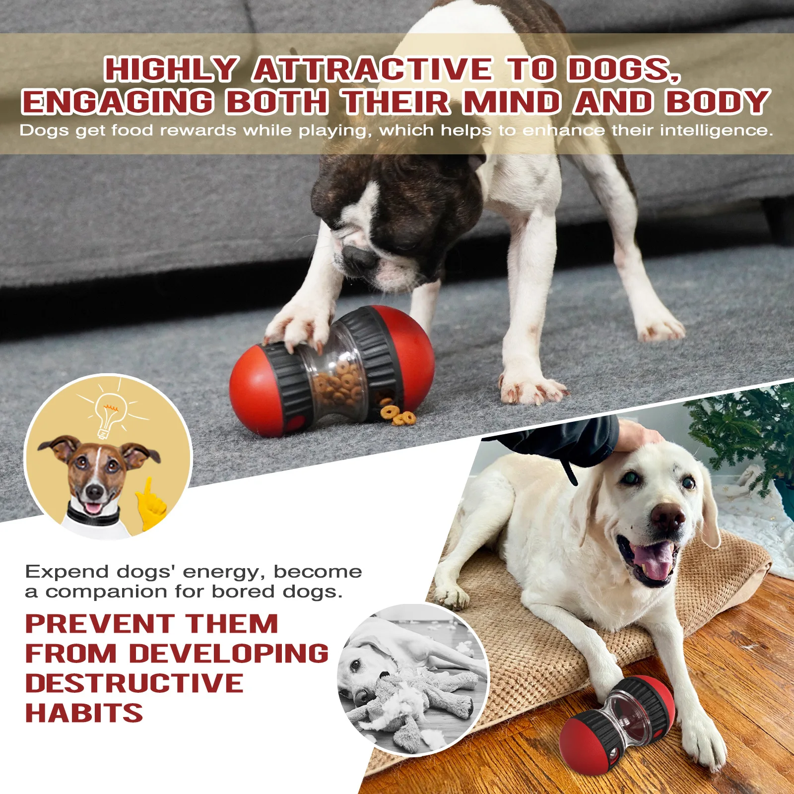 Interactive Chase Barbell Shaped Toy Slow Feeder for Pet Digestion