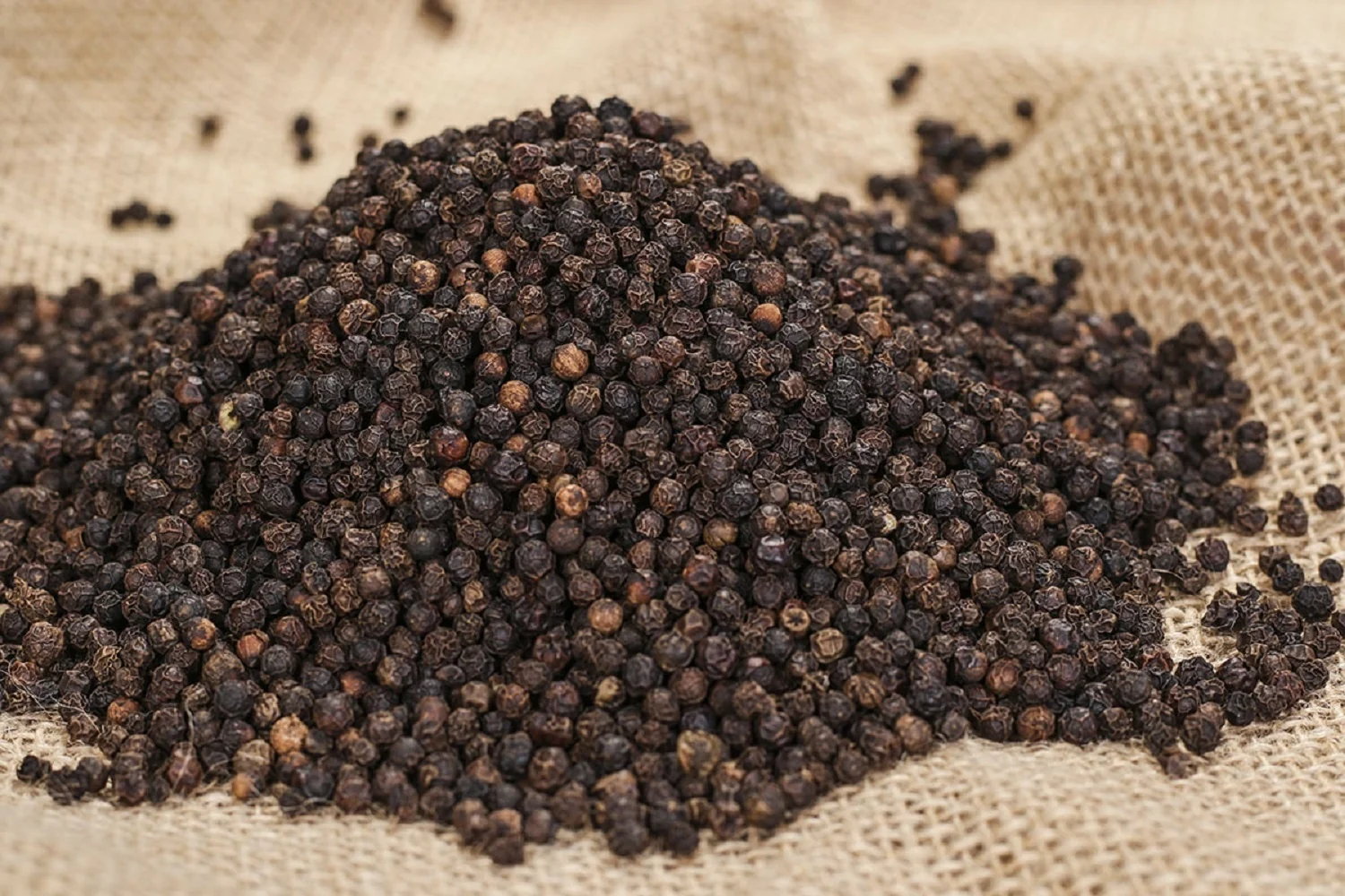 Wholesales Best Deal Hot Sale Superior Quality Black Pepper 100% Pure For Cooking Vietnamese Herbs And Spices