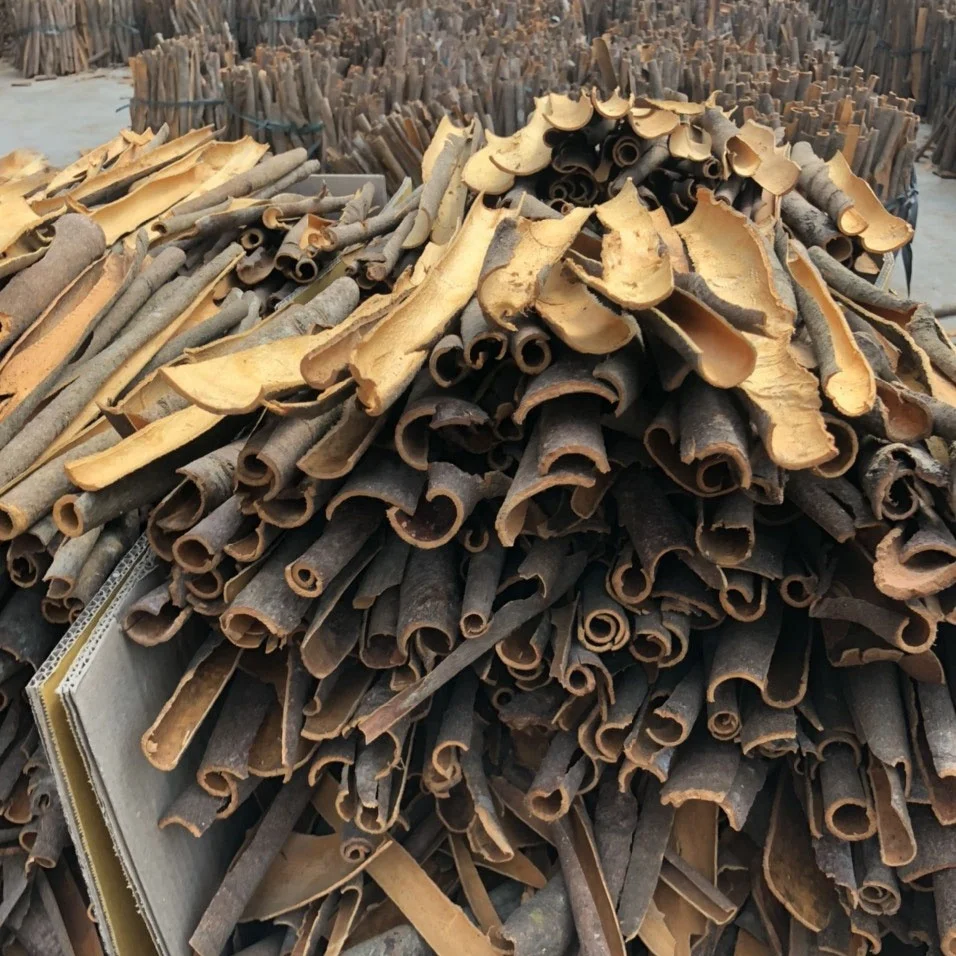 2022 NEW Dried Split Cassia Cinnamon / Dried Split Dalchini From Factory in Vietnam