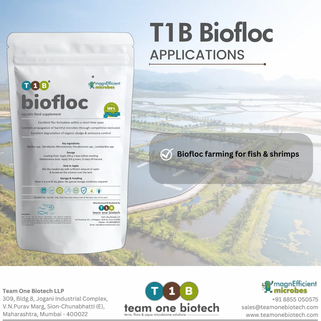 Aqua Probiotics for Clearer Biofloc Farming Water