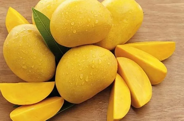 Fresh mango best price/Frozen mango from Vietnam