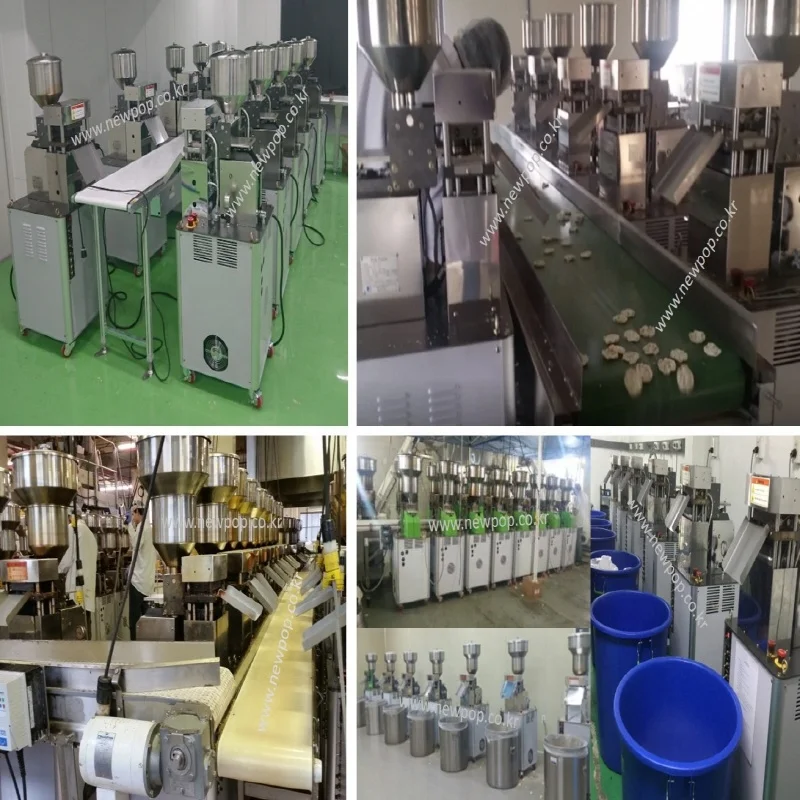 Korean Rice Cake Machine SYP9002 Rice Cake Machinery Shinyoung Mechanics Korea