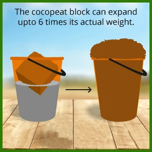 Coco Peat Briquette Low EC 5kg From Reputed Supplier of Organic Briquettes With High-Water Holding Capacity