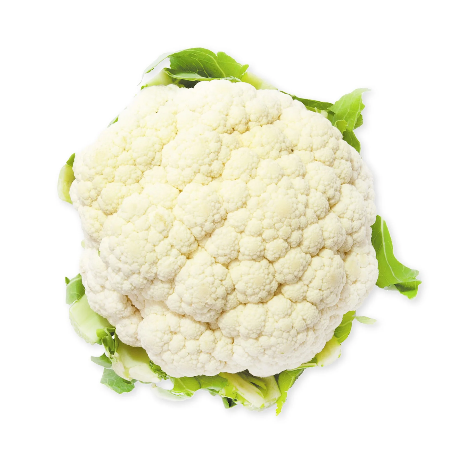Fresh vegetable cauliflower and frozen cauliflower fresh cauliflower