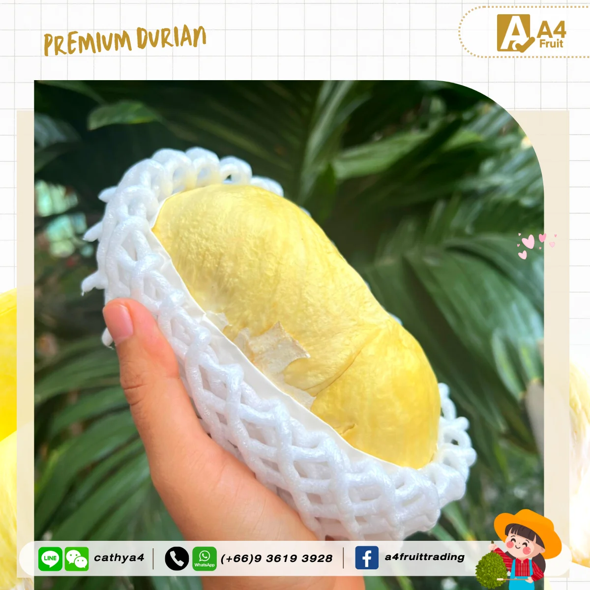 Fresh durian for china original from thailand 100% sweet and High quality