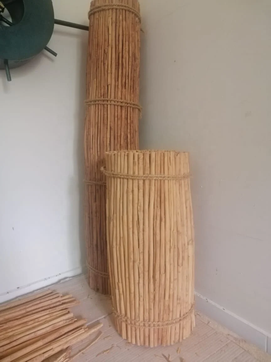 High Quality Ceylon Cinnamon | Alba | C4 Cinnamon | C5 Cinnamon