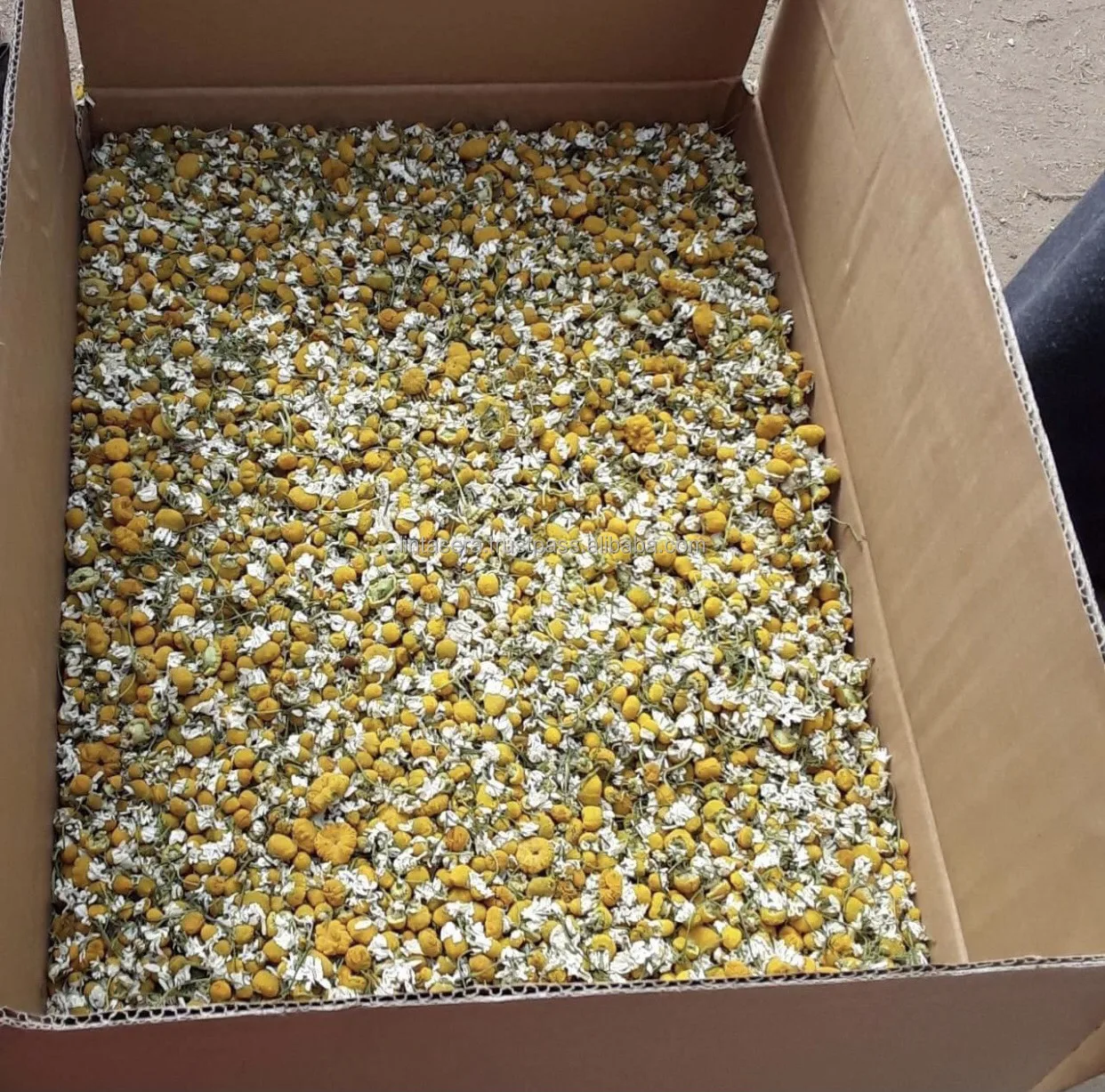 Лучшее качество экспорта из Таиланда Органическая сушеная