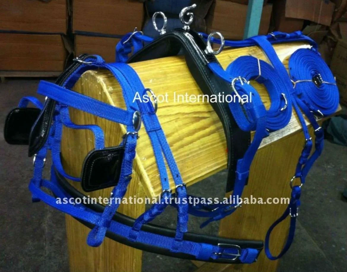 Wholesale premium polyester Horse racing Harness set durable with brass ss fittings top Indian supplier