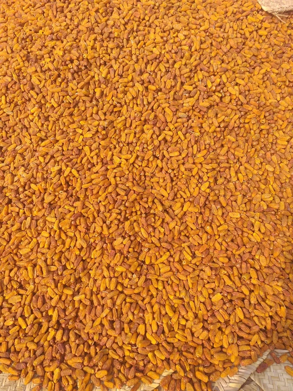 The Dry Fruits  Dry Dates dry Khajoor  Dry Chohara Dry Dates Exporters Pakistan