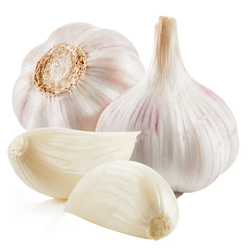 Top Product Dried Garlic Ready To Ship High Quality From Vietnam Dried Garlic For Cooking