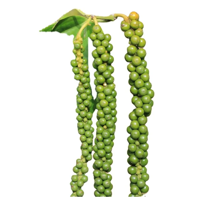 Черный перец вьетнамские специи от Phalco-хороший процессор-Whatsapp + 84 869981238