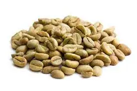 Vietnam wholesales ROBUSTA Green COFFEE BEAN - Robusta Coffee Bean Processing Exporting Quality COFFEE BEAN