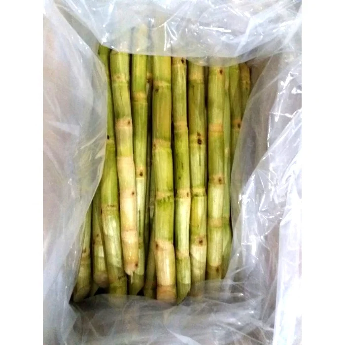 Best Selling Agriculture Products Wholesale Frozen Sugarcane From Vietnam
