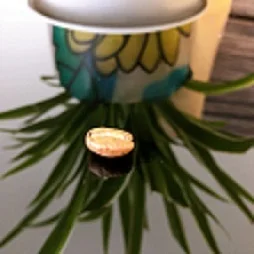 Arabica coffee beans with light roast, medium roast and dark roast, high quality made in Vietnam with low MQQ and good price