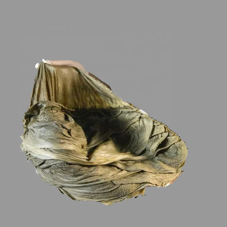 For Sell Buffalo Beef Omasum Supplier From Pakistan / Wholesale Buffalo Omasum