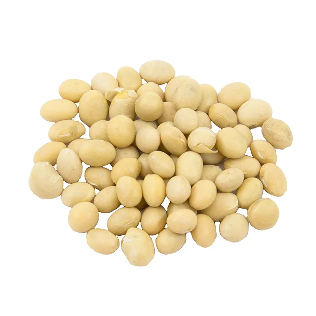 Best Quality Premium Natural and Non Gmo Yellow Soybean Seeds / Soya Bean /Soy Beans Cheap Price