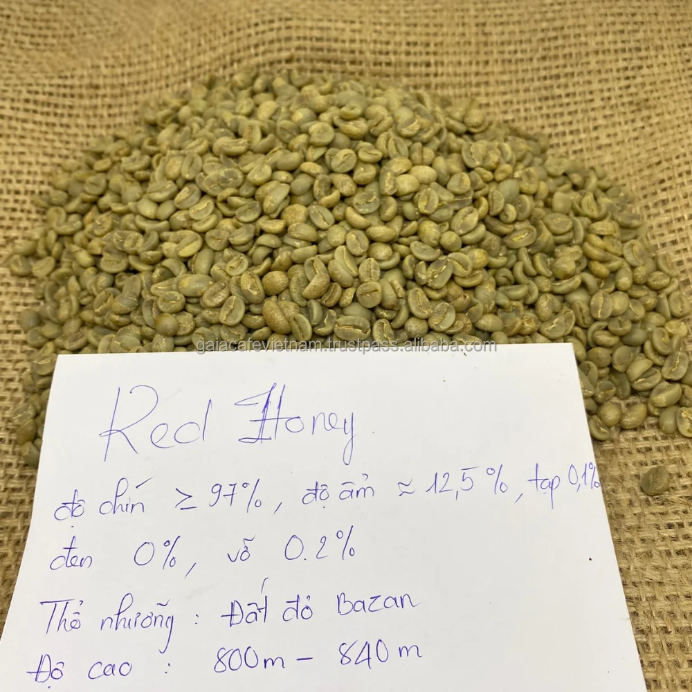 Unroasted Robusta Coffee Beans High Quality Screen 16 Honey Process  Long Shelf Life 98% Maturity from Vietnam