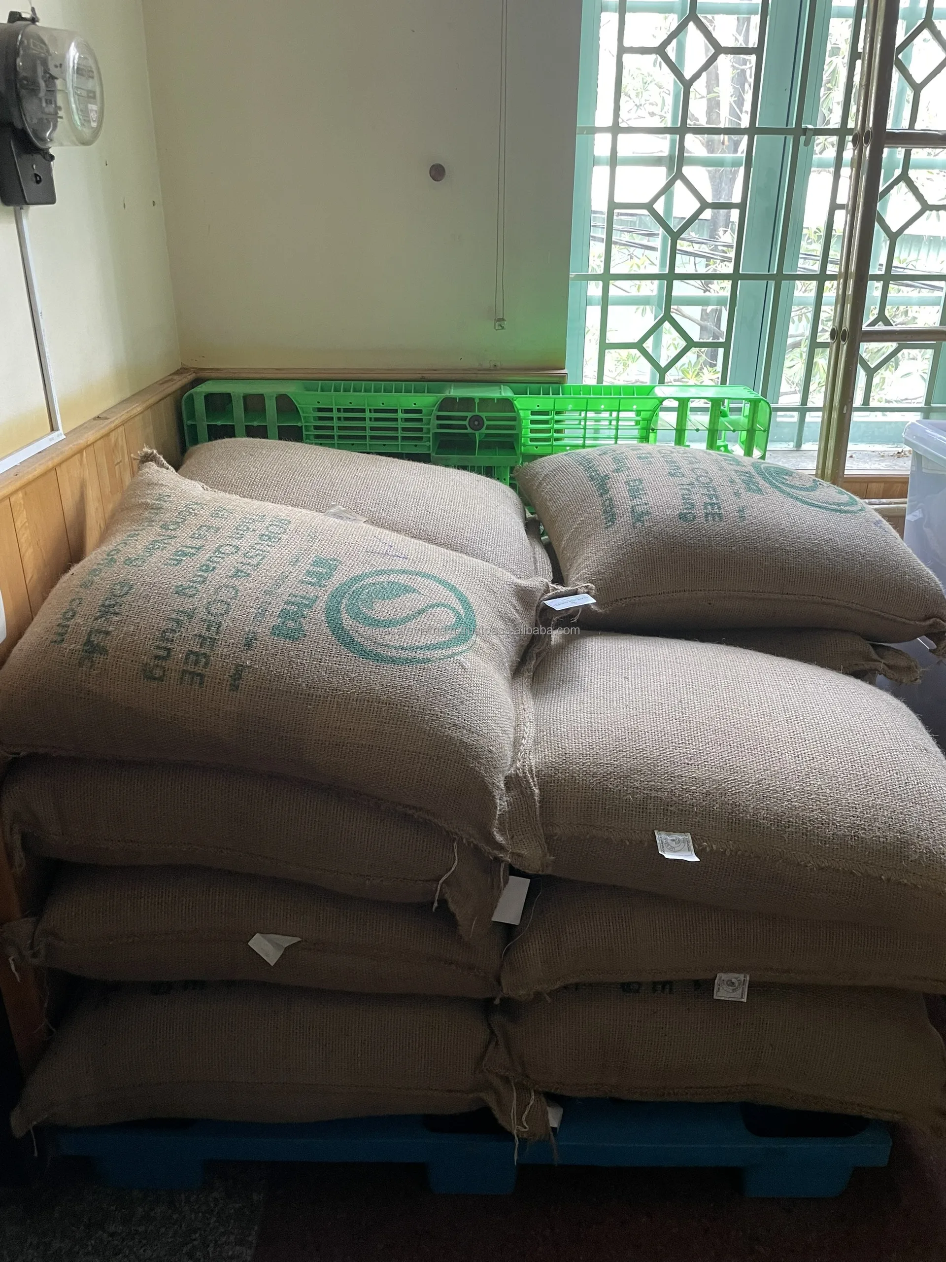 Raw Arabica Coffee Beans Wash Process Natural Flavor New Crop 2023-2024