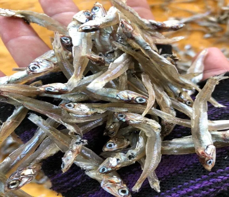 Whole Dried White Anchovy Fish No Salt Added With 100% Natural Anchovy From Sea  Mary