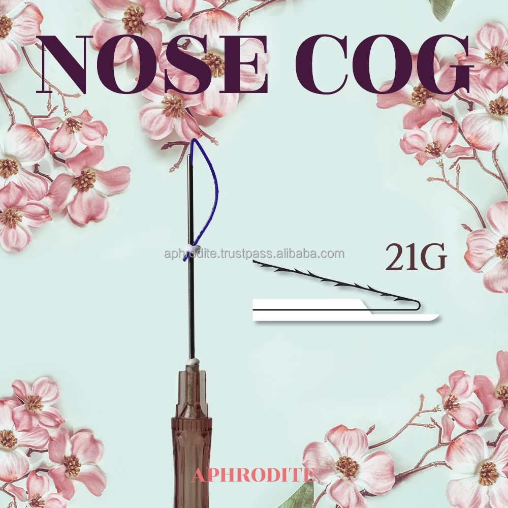 nose cog 1.jpg