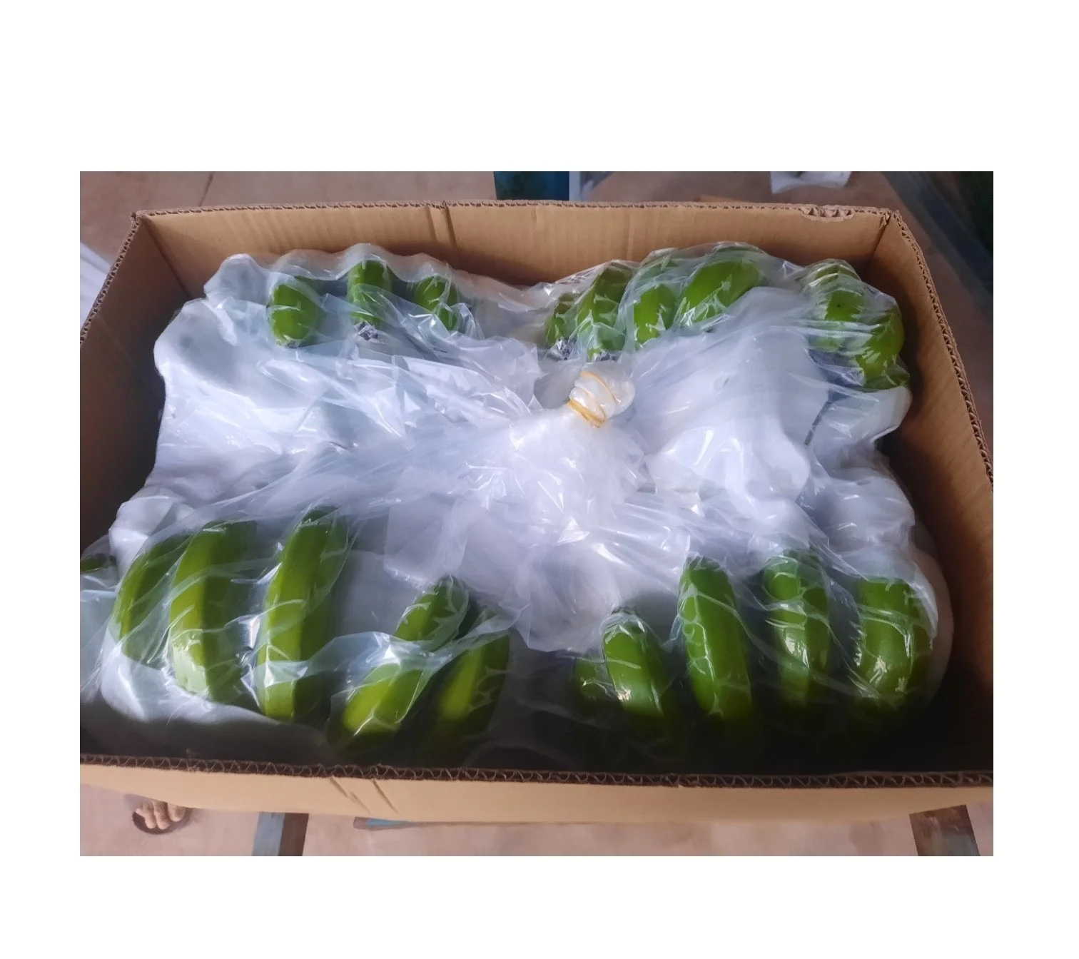 Best 100% High Quality Green banana Fresh Cavendish banana Cheap prices for hot sales whatsapp +84587176063