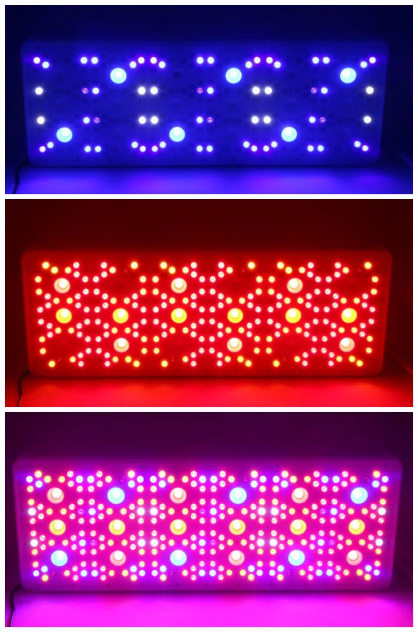 900W Led Grow Light Aluminum For Vertical Farm Veg Bloom COB Full Spectrum Grow Light
