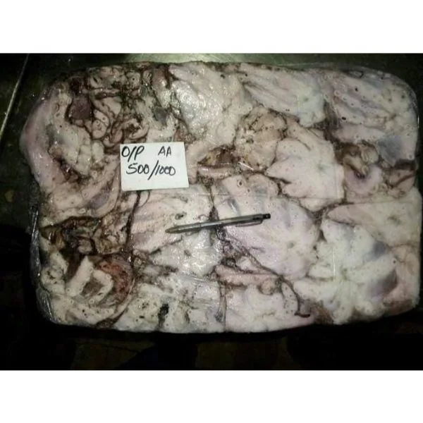 Factory Processed Squids/Loligo Squids (WR)