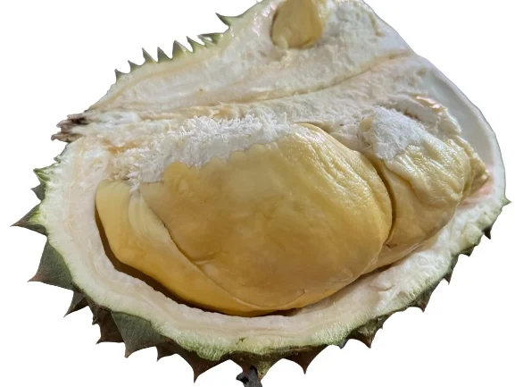 Premium Fresh Durian direct from Thailand Farm (Premium Quality Fresh Durian) - Order for Year 2023