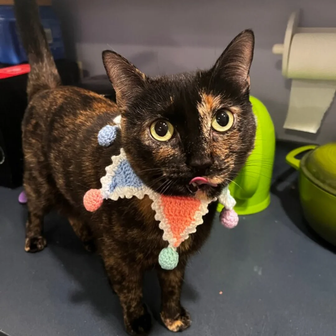 Handmade Crochet Knitted Collar for Cat Dog Pets  Necklace for Animals   from Viet Nam HOANG LINH SG Kimy +84938616690