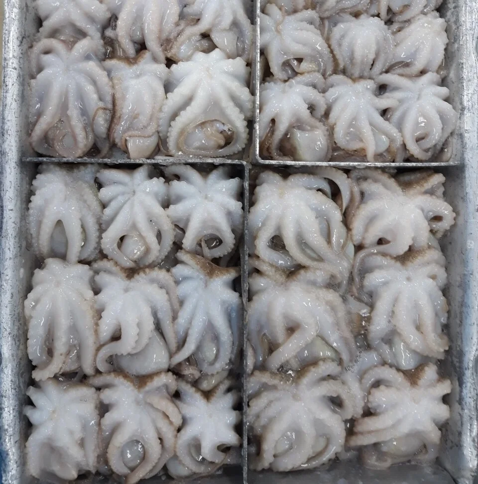 Замороженный полностью очищенный детский Осьминог по низкой цене