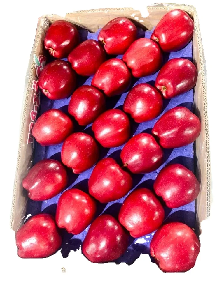 Red Apple Fresh Apples From Our Gardens Maximum Crunchy fresh Apples from TURKEY Red Delicious