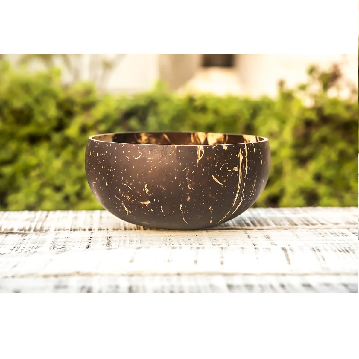 Coconut Shell Bowl Pot flower vase natural ecofriendly flower pot for table home garden indoor factory price cheap