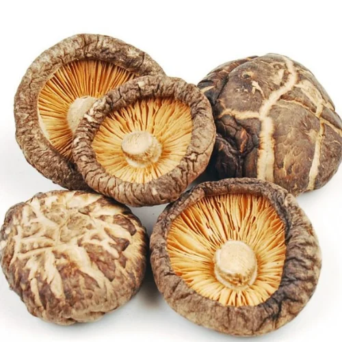Hot Selling Brown Mushrooms 100% High Quality Organic Natural for Cooking from Viet Nam (10000009122062)