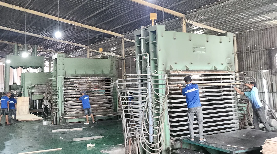 LVB Plywood standard thickness with natural colors core Acacia, Rubber, Pine Glue E0 suitable for making furniture