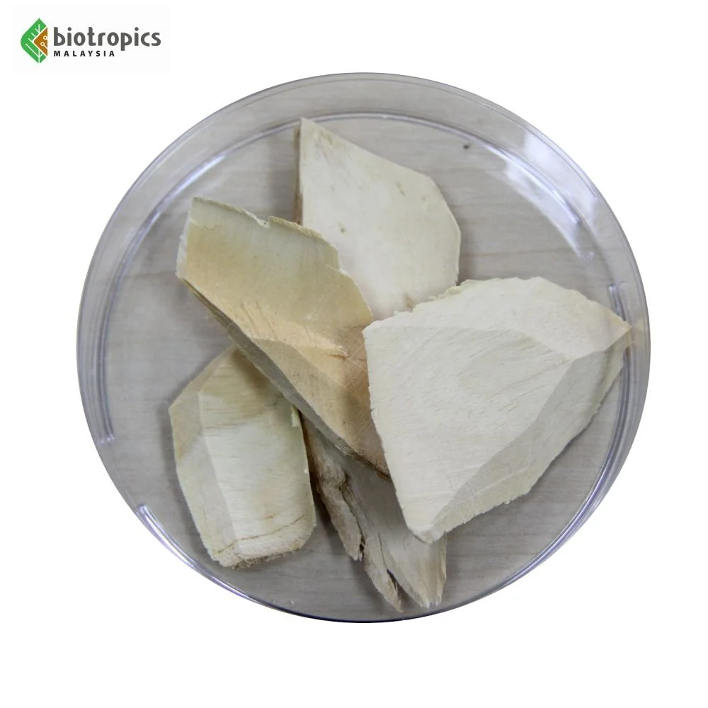 New Tongkat Ali 100% Root Extract Powder from Malaysia Halal Ready to Formulate into Food & Drinks