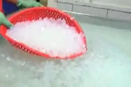 Консервированная желатина-де-Коко-Гранд-де-десерт-Ната-де-Коко консервированное кокосовое желе конкурентоспособная цена