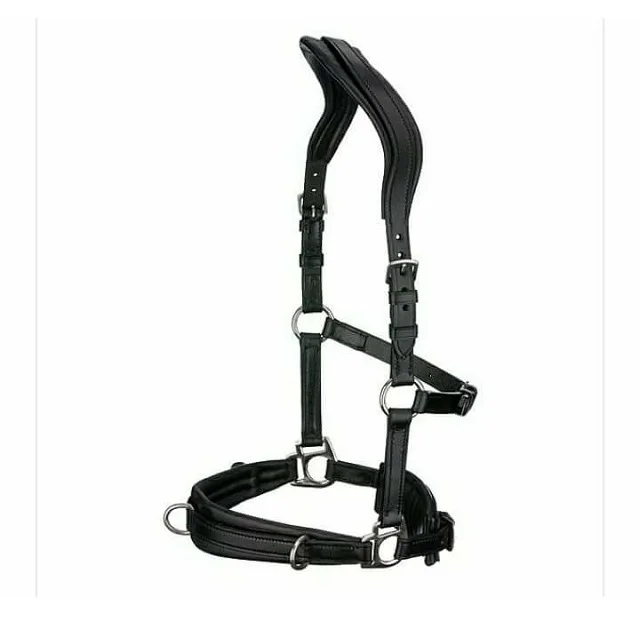 Latest Best Quality Western Kaptoom Leather Bridle Premium Genuine Best Quality Leather noseband brow band reins and equestrian