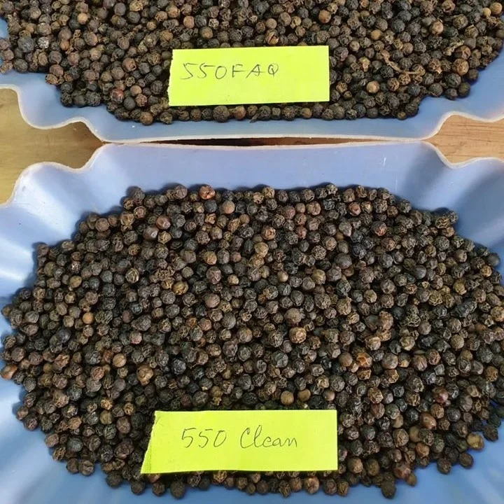 Горячий черный перец 500 г/л для экспорта высокое качество хорошие цены всех стран мира