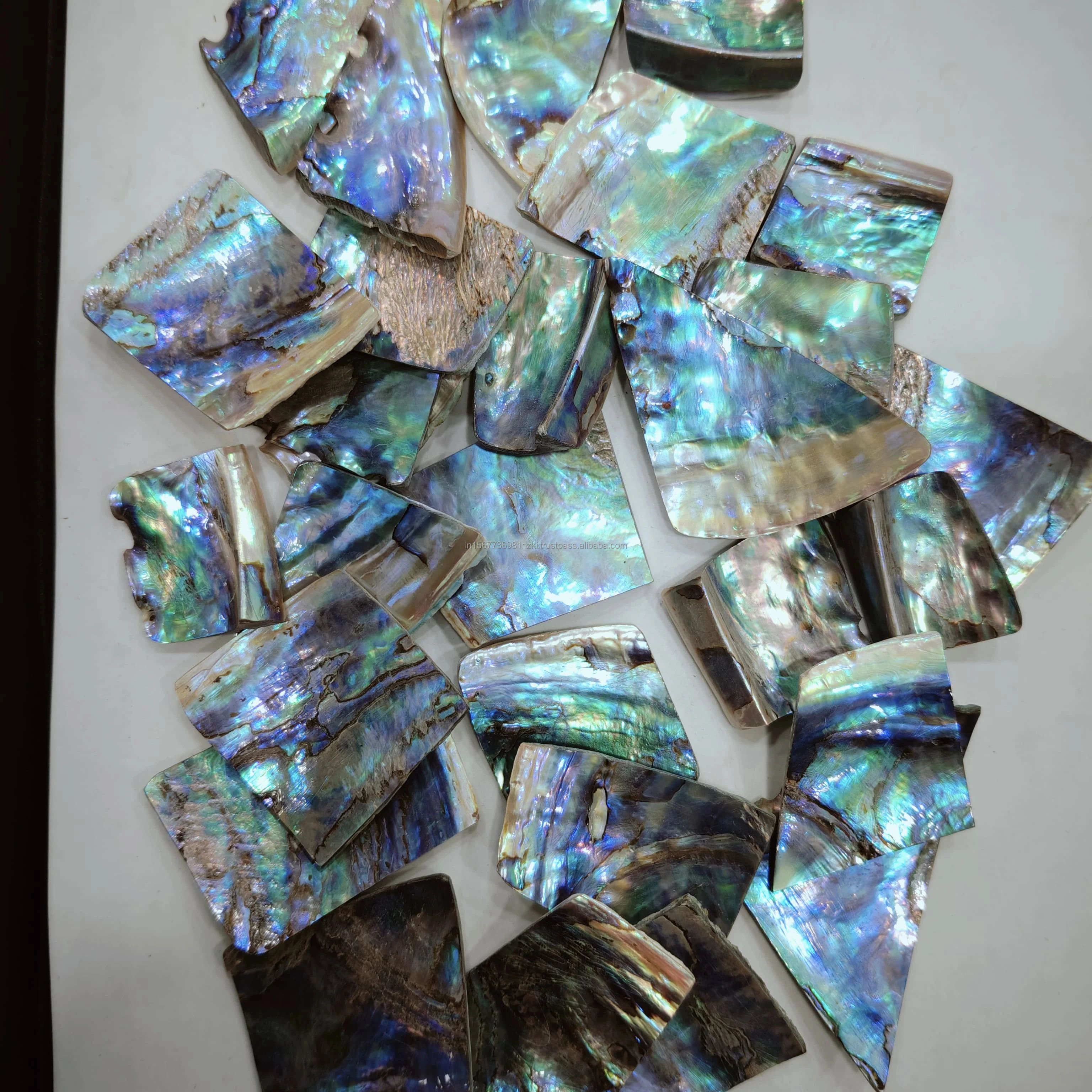 Mind Blowing Natural Beautiful Abalone Shell Loose Gemstone Cabochon Lot For Healing Jewelry Wholesale Gemstone Hand Made