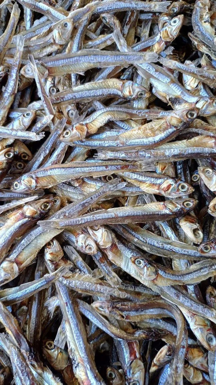 High Quality Bulk Seafood Wholesale Sun Dried Anchovy Fish with Head Fresh Style Preserved with Salt Good Price from Vietnam