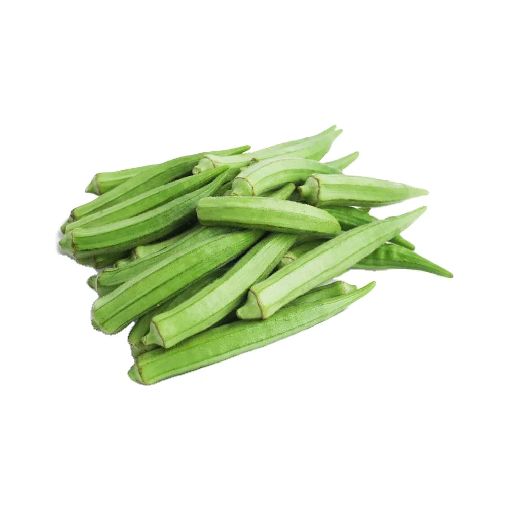 WHOLESALE FRESH OKRA WITH HIGH QUALITY FROM VIETNAM